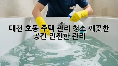 대전 호동 주택 관리 청소: 깨끗한 공간, 안전한 관리