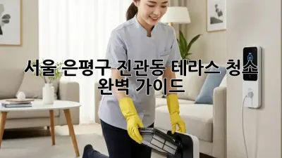 서울 은평구 진관동 테라스 청소 완벽 가이드