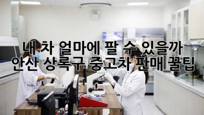 내 차, 얼마에 팔 수 있을까? 🚗 안산 상록구 중고차 판매 꿀팁!